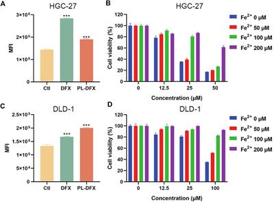 A DFX-based iron nanochelator for cancer therapy